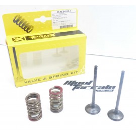 Kit de conversion soupapes acier YZF 250