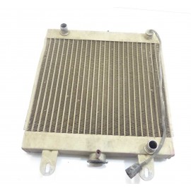 Radiateur Polaris 400 Blazer