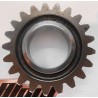 Pignon B.V 500 cr / gear wheel