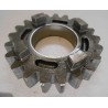 Pignon B.V 500 cr / gear wheel