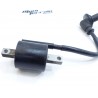 Bobine 250 YZF 2002 / Ignition coil