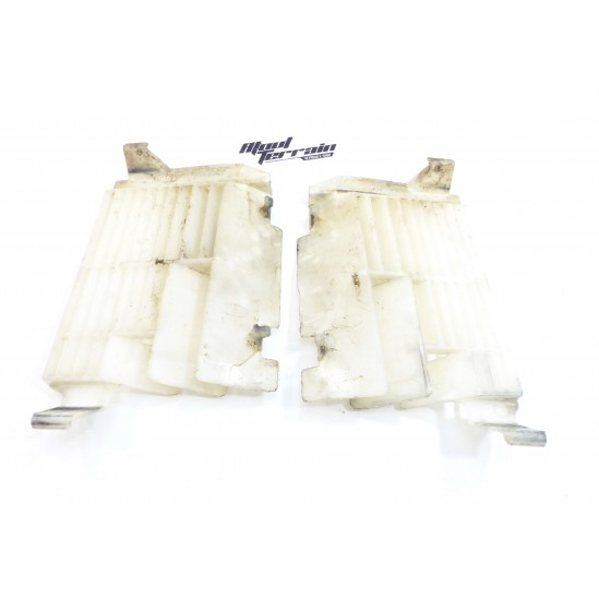 Grille de radiateur 250 cr 1999
