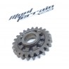 Pignon de renvoi cota 315 / gear wheel