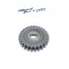 Pignon 250 ttr / gear wheel