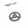 Pignon 250 ttr / gear wheel