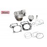 Kit ylindre piston neuf 750 Brute force