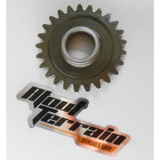 Pignon 250 TM 1998-2005 / gear wheel