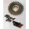 Pignon 250 TM 1998-2005 / gear wheel