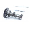 Arbre à cames hotcam 450 rmz 2006 / camshaft