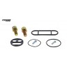 Kit de reconditionnement pour robinet d’essence polaris