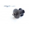 Excentrique de valves 125 yz 1998-2004 / Governor valve