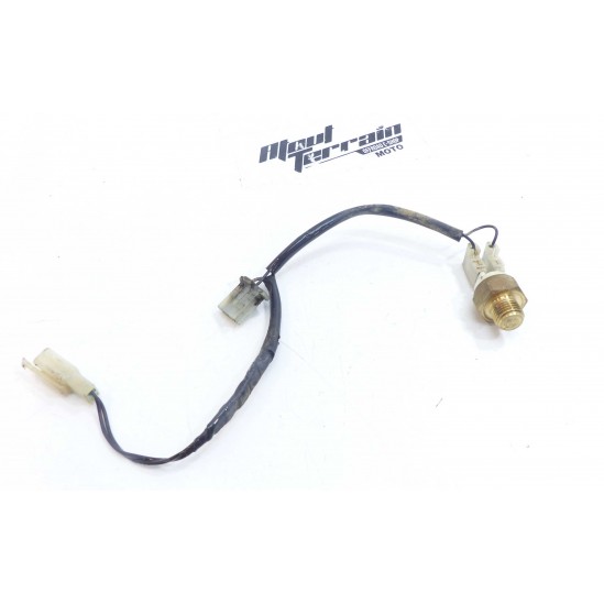 Sonde de température d'eau Beta 350 RR