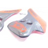 Ecopes plastique GasGas 250 Pampera 1998