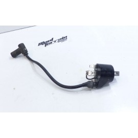 Bobine d'allumage Gasgas 250 Pampera 2001