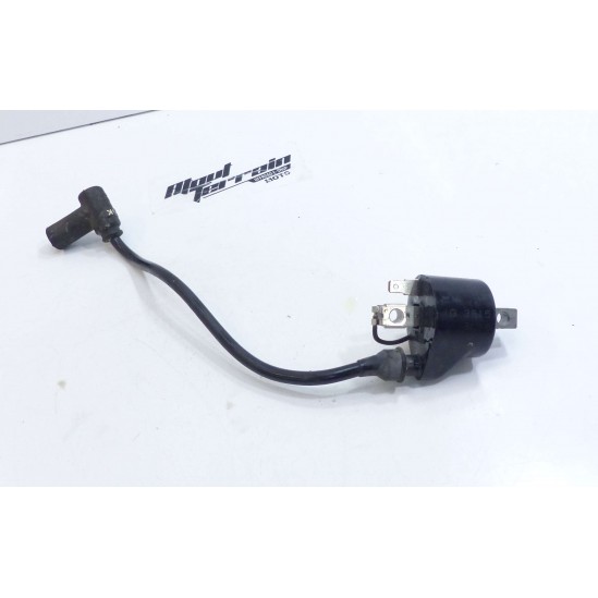 Bobine d'allumage Gasgas 250 Pampera 2001