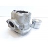 Cylindre piston Gasgas 250 pampera
