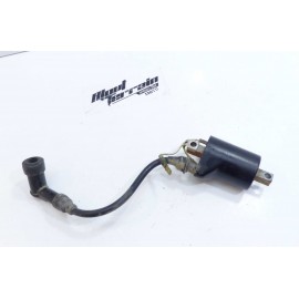 Bobine d'allumage 250 wr 2002