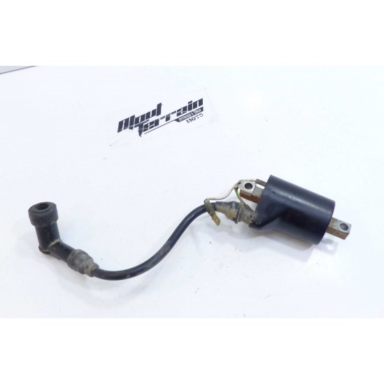 Bobine d'allumage 250 wr 2002
