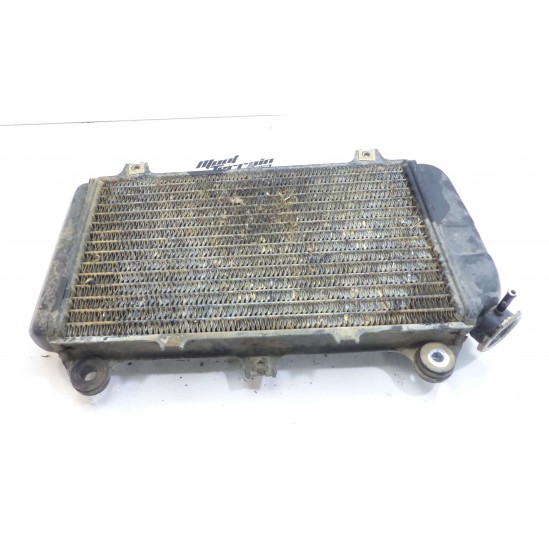 Radiateur Kawasaki 250 KSF