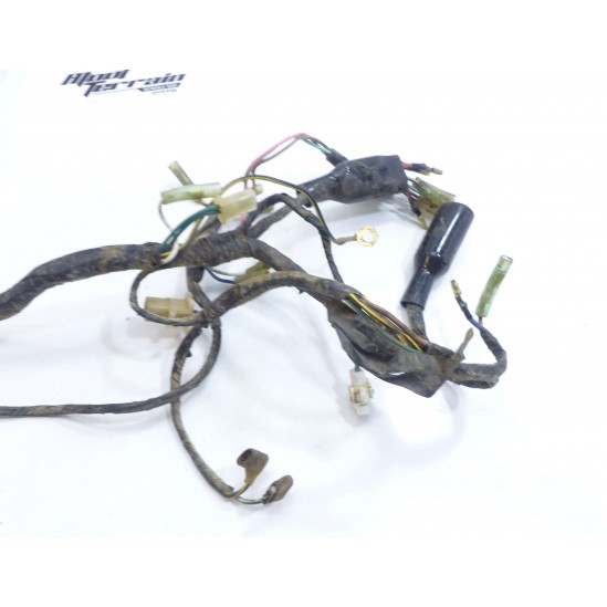 Faisceau électrique Kawasaki 250 KSF