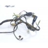 Faisceau électrique Kawasaki 250 KSF