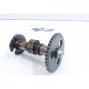 Arbre a cames Kawasaki 250 KSF