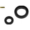 Paire de joint spy de vilebrequin Honda 250 CR