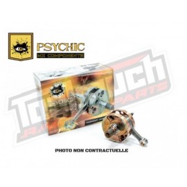 Vilebrequins psychic kawasaki KX 125