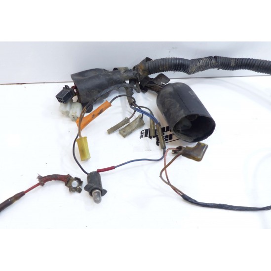 Faisceau Yamaha 125 dtr