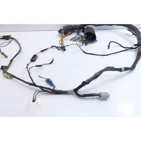 Faisceau Yamaha 125 dtr