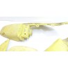 Kit plastique Suzuki JR 50