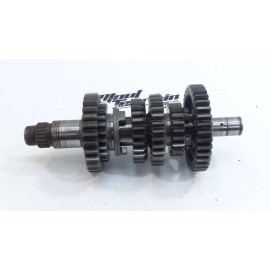 Boite à vitesse 250 ttr / Gear box