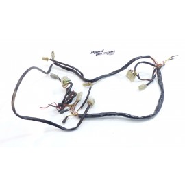 Faisceau 450 exc 2004