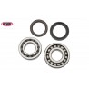 Roulements et joints de vilebrequin CRF 450