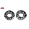 Paire de roulements de vilebrequin Suzuki 450 RMZ