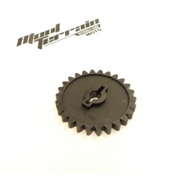 Pignon plastique 450 exc 2004