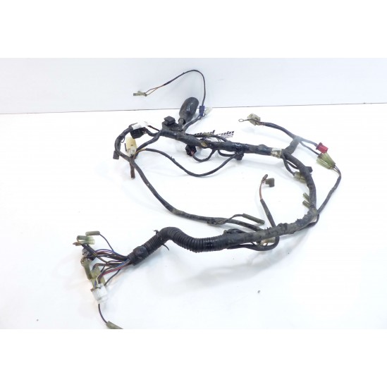 Faisceau Yamaha 125 TW