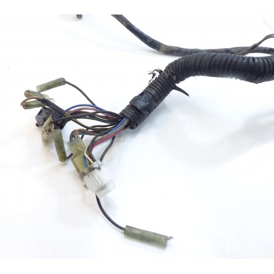 Faisceau Yamaha 125 TW