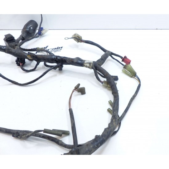 Faisceau Yamaha 125 TW