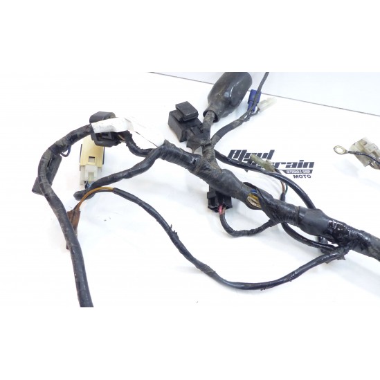 Faisceau Yamaha 125 TW