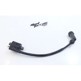 Bobine d'allumage Yamaha 125 TW
