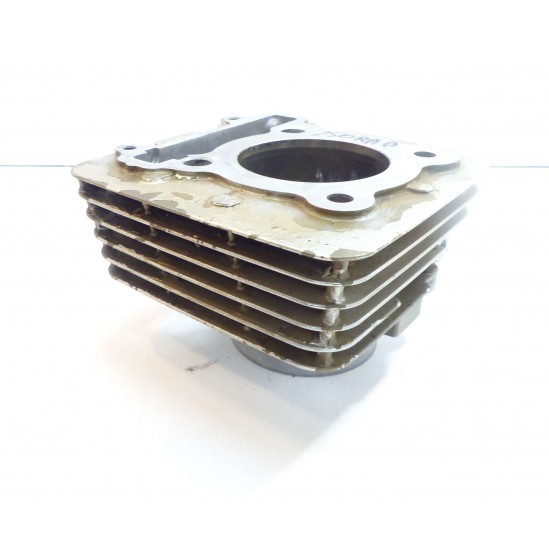 Cylindre 1S4 a reconditionner yamaha 250 YFM raptor / Cylinder Kit