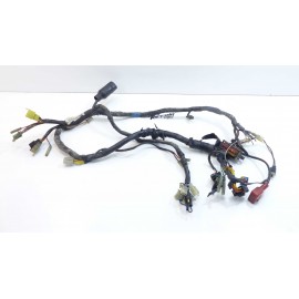 Faisceau Suzuki 650 DR