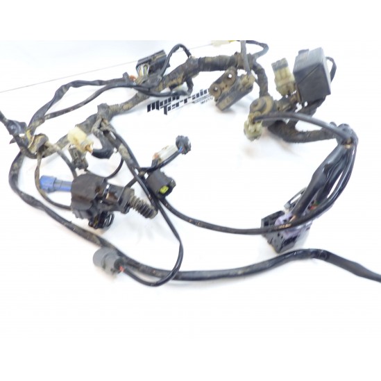 Faisceau EFI KTM 350 EXC 2013