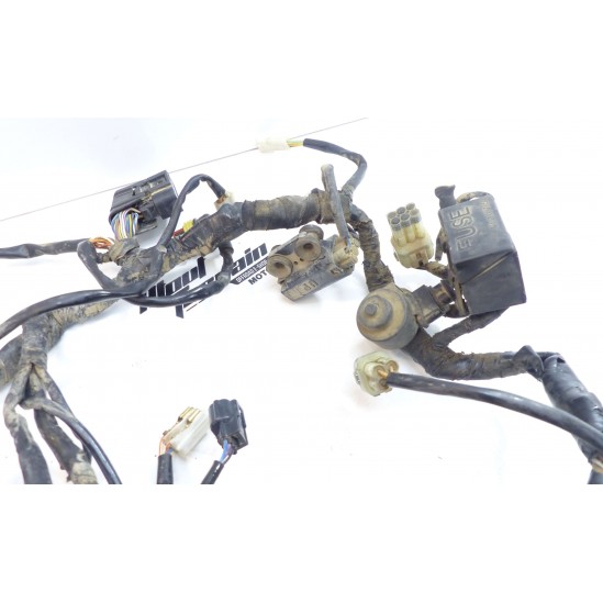 Faisceau EFI KTM 350 EXC 2013