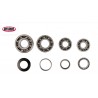 Kit de roulements de boite de vitesse Honda 450 CRF