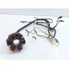 Stator d'allumage Scorpa 250 Easy 1998