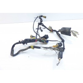 Faisceau Suzuki 240 TSX