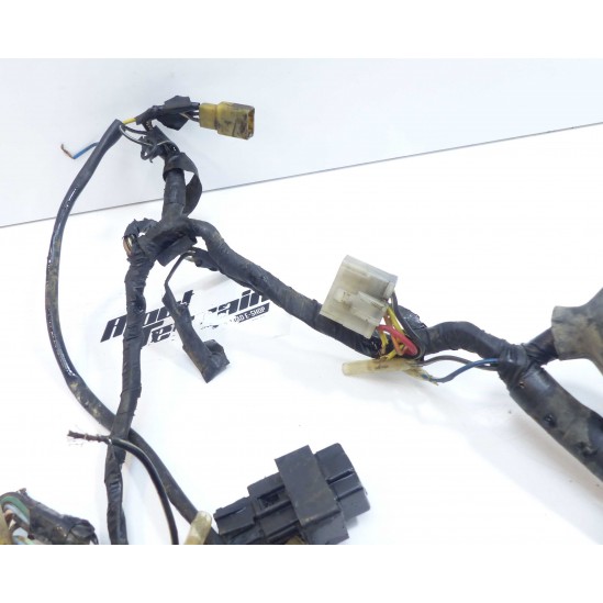 Faisceau Suzuki 250 RH