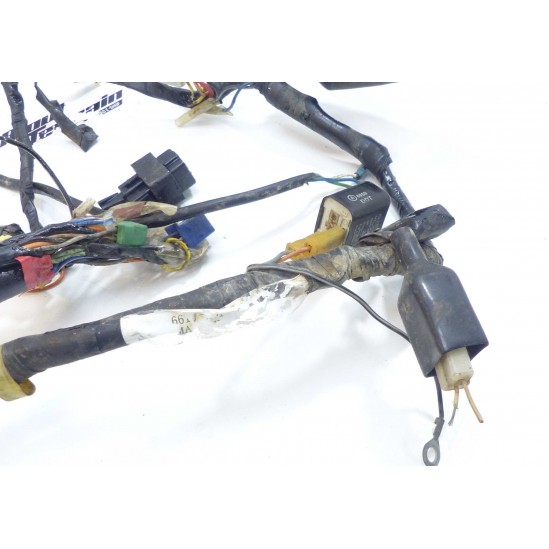 Faisceau Suzuki 250 RH